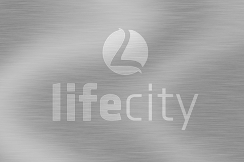 Серебряная карта LifeCity на 6 месяцев